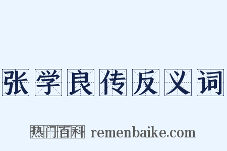 张学良传反义词是什么意思的图片